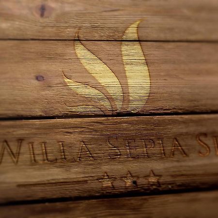 Willa Sepia Spa Wisła Buitenkant foto